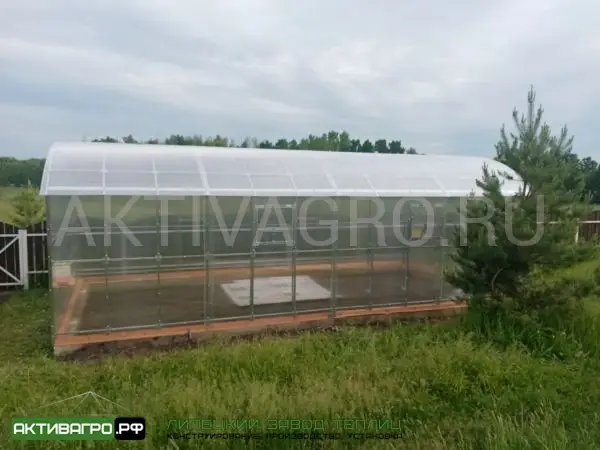 Теплица Ударница Благодатная, ширина 4/5 м, труба 40х20 + 20х20 Теплица Ударница Благодатная, ширина 4/5 м, труба 40х20 + 20х20